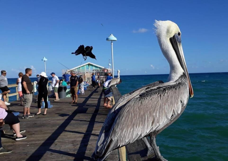 Fort Lauderdale Guest House Εξωτερικό φωτογραφία